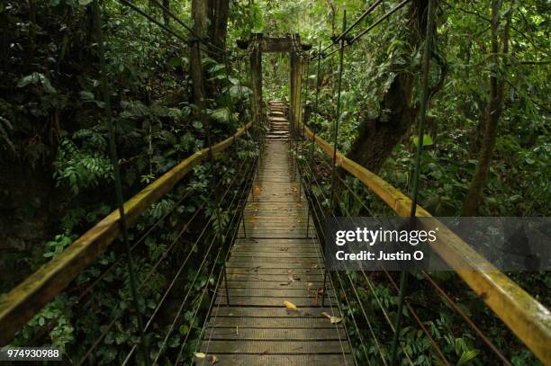 finca bellavista bridge - finca stock pictures, royalty-free photos & images