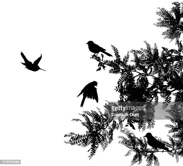 chirpy warbler birds - birdsong stock illustrations