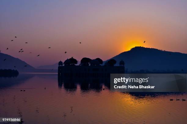 dawn at the jal mahal in jaipur - jal mahal stock pictures, royalty-free photos & images