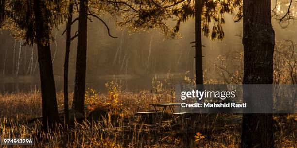 photo by: mahshid rasti - nacka sweden stock pictures, royalty-free photos & images