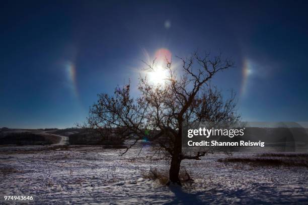 sundogs - sundogs stock pictures, royalty-free photos & images