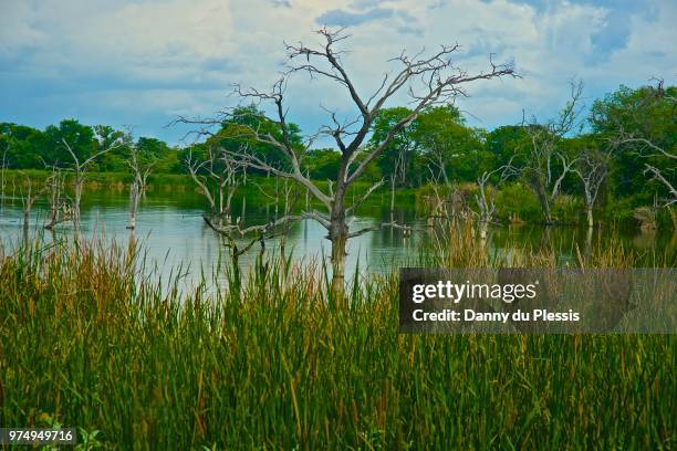 dam in venda - venda stock pictures, royalty-free photos & images