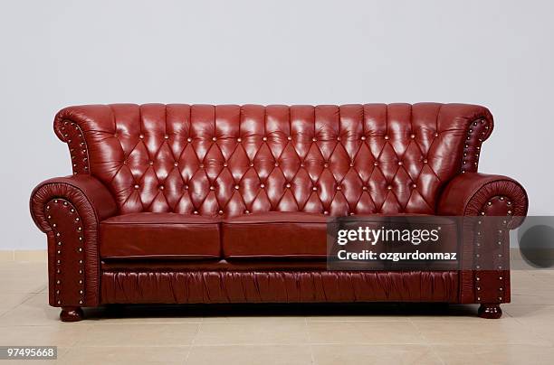 sofa - animal skin stock pictures, royalty-free photos & images