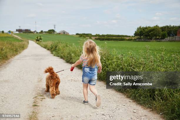 Child walking a dog