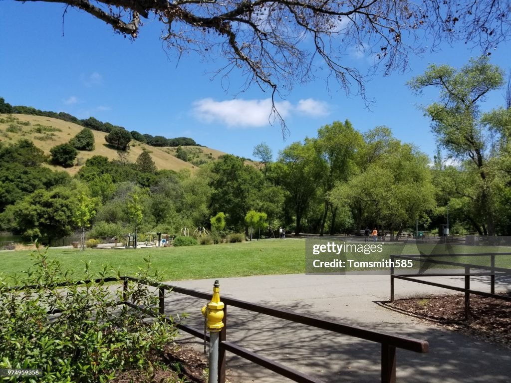 Lake Chabot