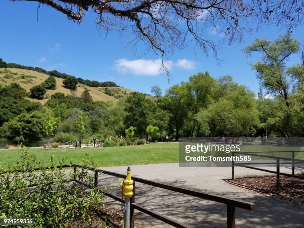 lake chabot - east bay regional park stock pictures, royalty-free photos & images