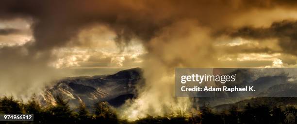 Adam Raphael Photos and Premium High Res Pictures - Getty Images