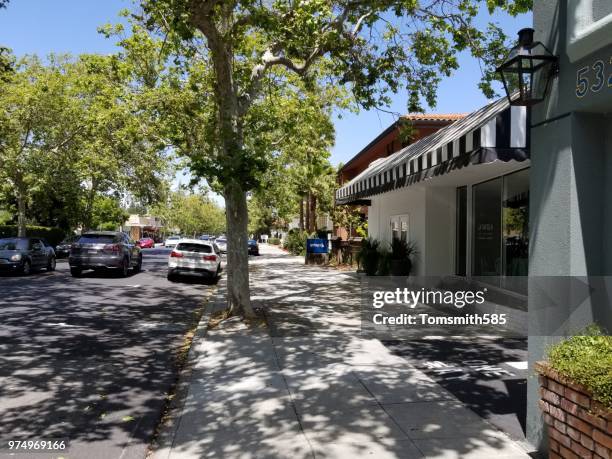 the cats - northern california stock pictures, royalty-free photos & images
