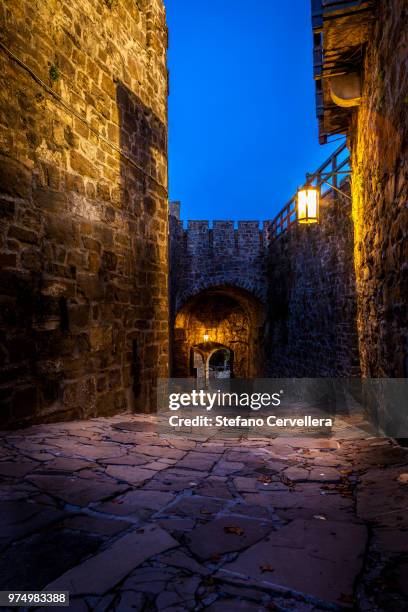 gorizia castle, gorizia, italy - gorizia stock pictures, royalty-free photos & images