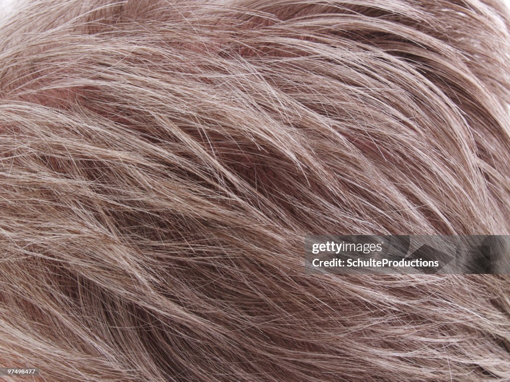 Gray Hair