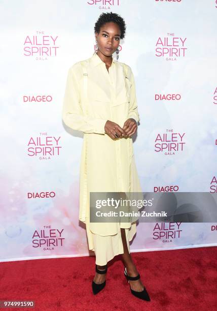 Damaris Lewis attends the 2018 Ailey Spirit Gala Benefit at David H. Koch Theater at Lincoln Center on June 14, 2018 in New York City.