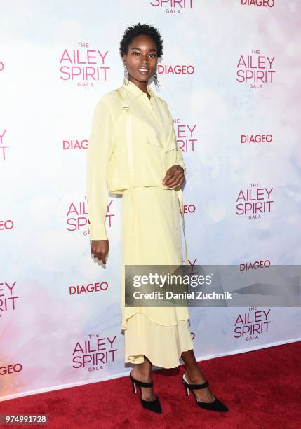 Damaris Lewis attends the 2018 Ailey Spirit Gala Benefit at David H. Koch Theater at Lincoln Center on June 14, 2018 in New York City.