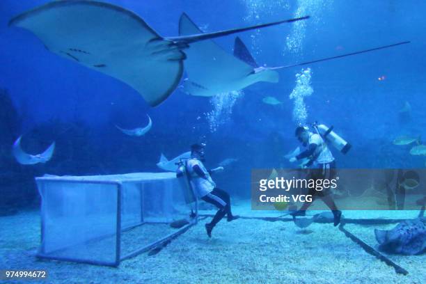 Divers play football underwater at the Haichang Whale Shark Ocean Park to welcome the 2018 FIFA World Cup on June 14, 2018 in Yantai, Shandong...