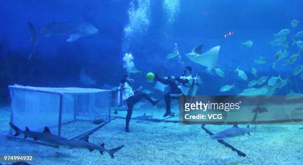 Divers play football underwater at the Haichang Whale Shark Ocean Park to welcome the 2018 FIFA World Cup on June 14, 2018 in Yantai, Shandong...