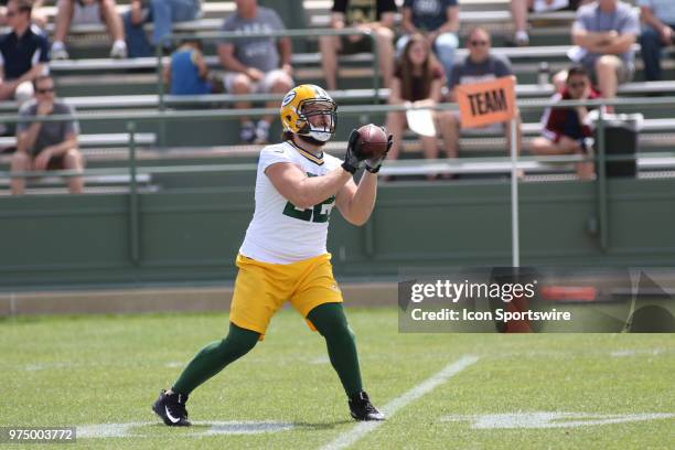 614 Green Bay Packers Mini Camp Photos & High Res Pictures - Getty Images