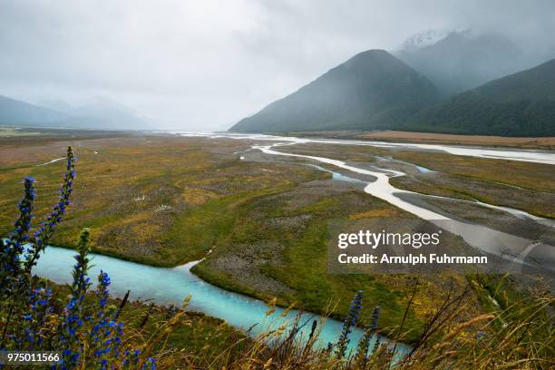 waimakariri river - fehrmann stock-fotos und bilder