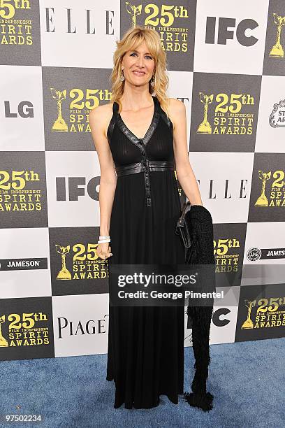 Actress Laura Dern with the LG Electronics Kompressor Vacuum on The 25th Spirit Awards Blue Carpet held at Nokia Theatre L.A. Live on March 5, 2010...