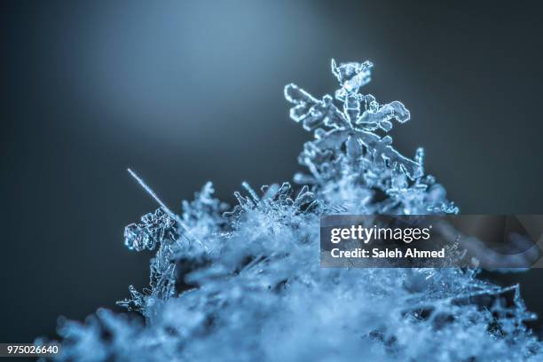 snowflakes03 - frosted flakes stock pictures, royalty-free photos & images