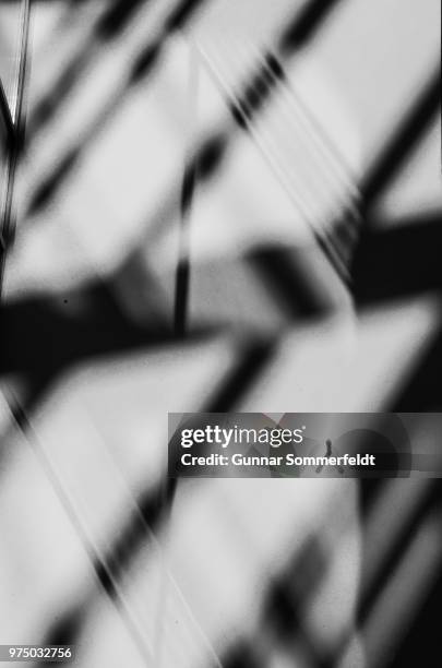 Sunlight Diffusion Pattern 98 Diffusion Pattern Stock Photos, High-Res Pictures, and Images ...