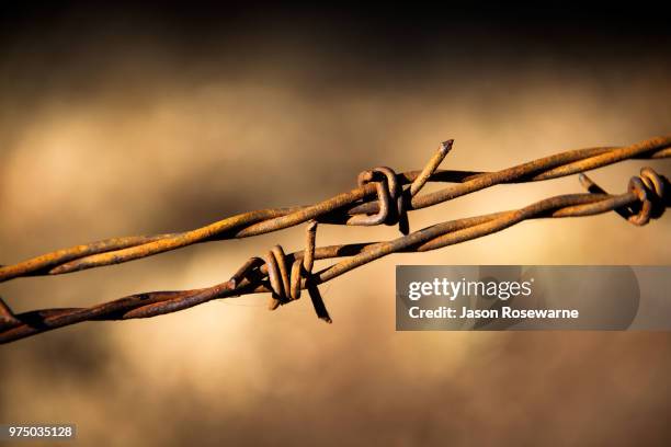 Brabwire Rusted 1,158 Rusted Barbed Wire Stock Photos, High-Res Pictures, and Images ...