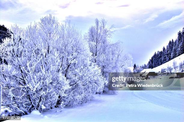 lilac landscape (lila landschaft ) - landschaft stock pictures, royalty-free photos & images