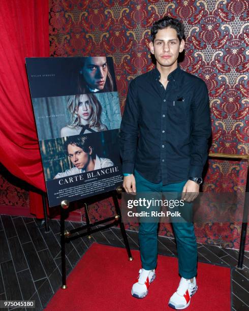 Actor Matt Bennett arrives at an event where Flaunt Presents a private screening of Eva Dolezalova's "Carte Blanche" at Hollywood Roosevelt Hotel on...