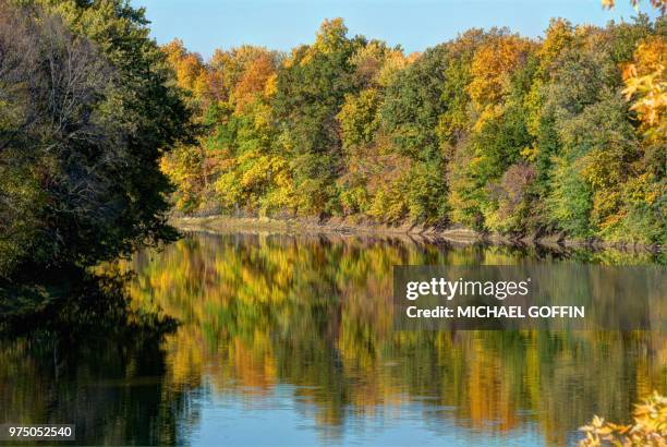 autumn reflections - goffin fotografías e imágenes de stock