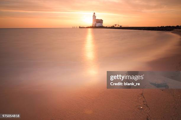 paard van marken - paard stock pictures, royalty-free photos & images