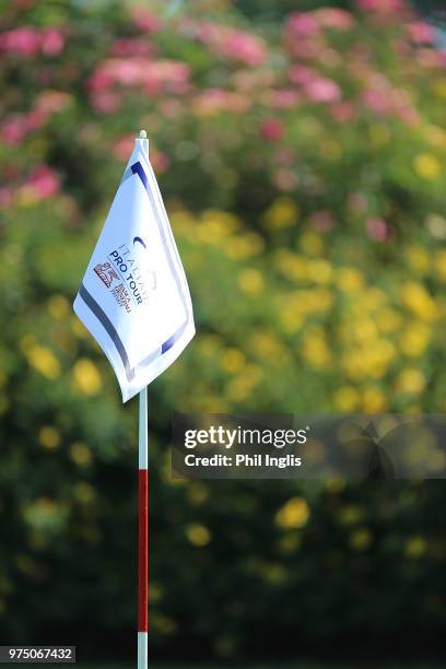 Pinflag on the 17th green during the first round of the 2018 Senior Italian Open presented by Villaverde Resort played at Golf Club Udine on June 15,...