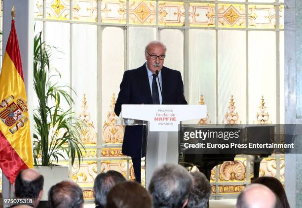 Vicente del Bosque attends Mapfre Foundation Awards 2017 at Casino de Madrid on June 14, 2018 in Madrid, Spain.