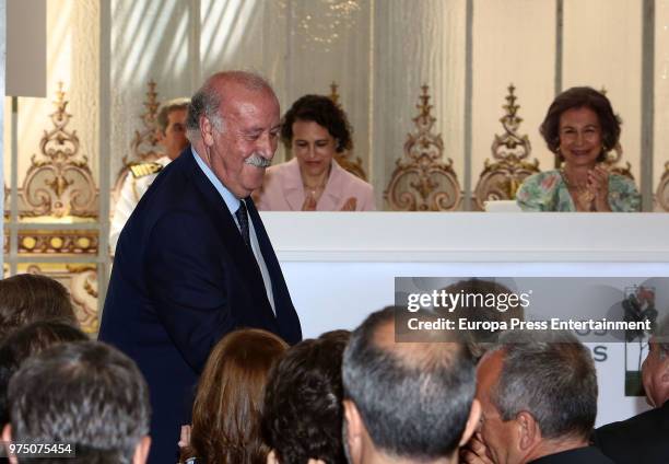 Queen Sofia , Magdalena Valerio and Vicente del Bosque attend Mapfre Foundation Awards 2017 at Casino de Madrid on June 14, 2018 in Madrid, Spain.