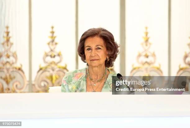 Queen Sofia attends Mapfre Foundation Awards 2017 at Casino de Madrid on June 14, 2018 in Madrid, Spain.