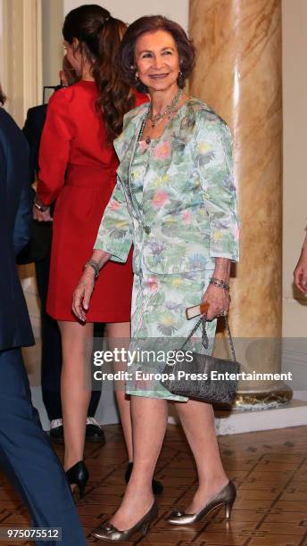 Queen Sofia attends Mapfre Foundation Awards 2017 at Casino de Madrid on June 14, 2018 in Madrid, Spain.