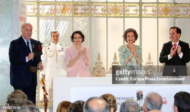 Queen Sofia , Magdalena Valerio and Vicente del Bosque attend Mapfre Foundation Awards 2017 at Casino de Madrid on June 14, 2018 in Madrid, Spain.