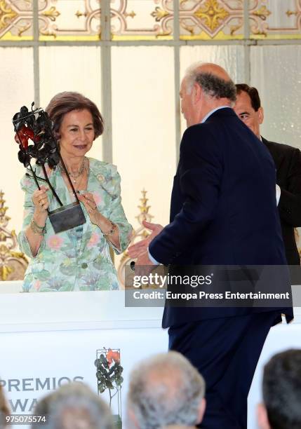 Queen Sofia and Vicente del Bosque attend Mapfre Foundation Awards 2017 at Casino de Madrid on June 14, 2018 in Madrid, Spain.