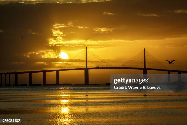 sunshine skyway bridge - sunshine skyway bridge 個照片及圖片檔