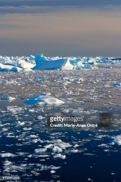 groenland icebergs, groenland savissivik - marie ange ostré photos et images de collection