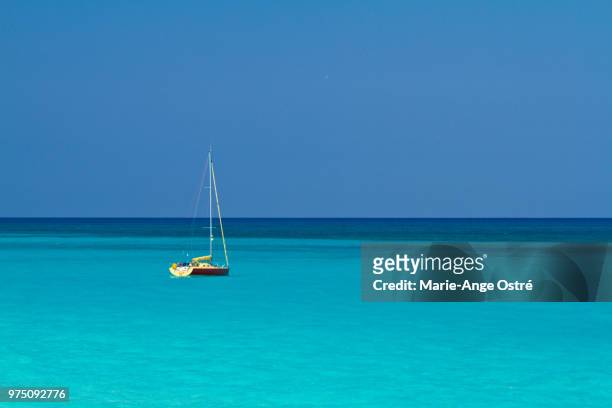 bahamas, bimini lagoon - marie ange ostré photos et images de collection