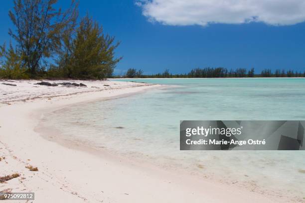 bahamas, winding bay beach (crooked island) - marie ange ostré photos et images de collection