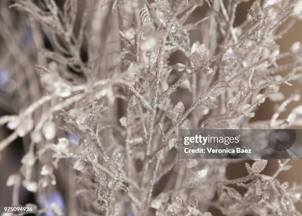 escarcha de plata - veronica winter stock pictures, royalty-free photos & images