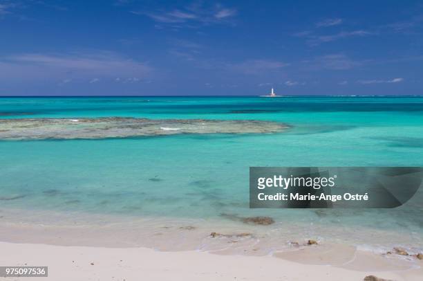 bahamas, crooked island lagoon - marie ange ostré photos et images de collection