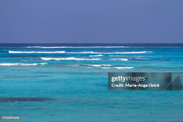 bahamas, only blue (crooked island) - marie ange ostré - fotografias e filmes do acervo