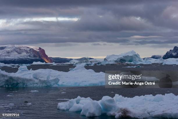 greenland, icebergs near savissivik - marie ange ostré photos et images de collection
