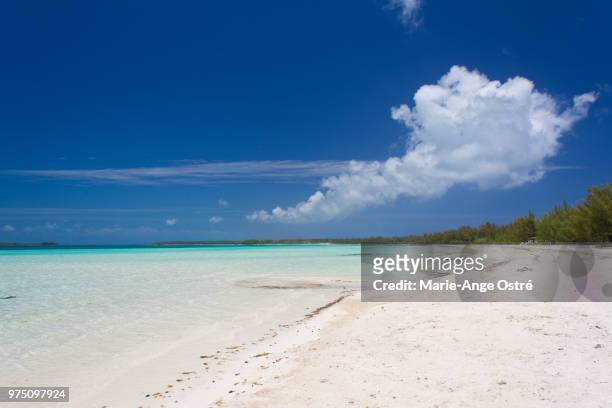 bahamas, eleuthera beach (plage) - marie ange ostré photos et images de collection