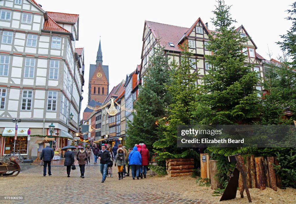 Christmas wald forest, Hanover, Germany