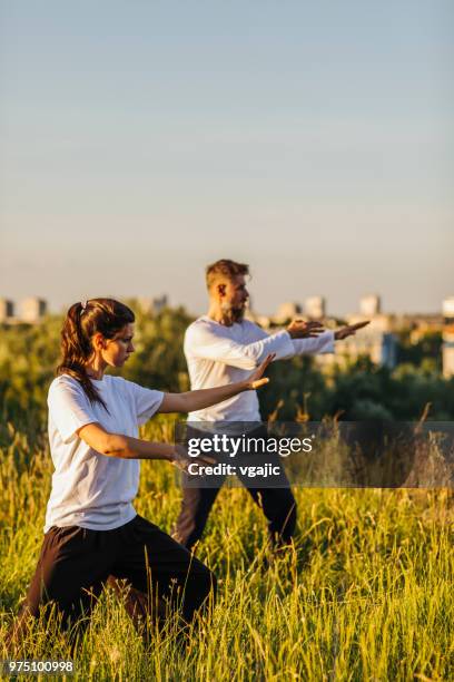 friends practicing tai chi - tai chi imagens e fotografias de stock