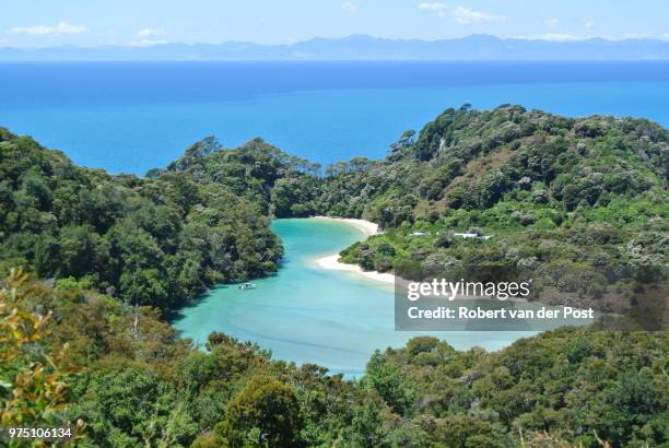 lagoon in abel tasman national park, tasman district, new zealand - tasman district new zealand stock pictures, royalty-free photos & images