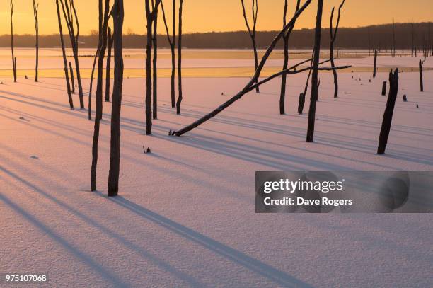 sunrise on a frozen snow covered lake - rogers arena fotografías e imágenes de stock