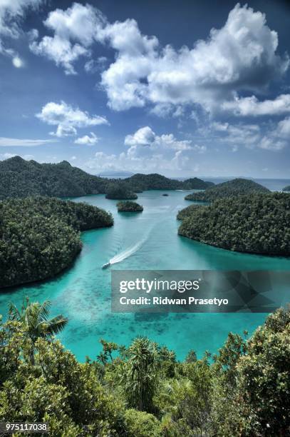 another piece of raja ampat - raja ampat islands fotografías e imágenes de stock