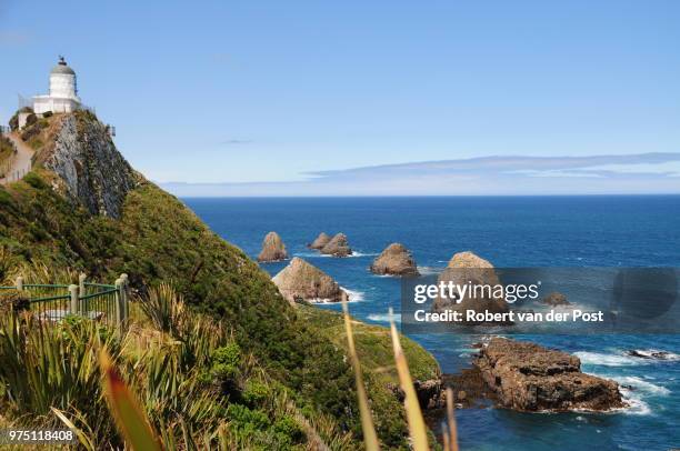 nugget point - nugget point imagens e fotografias de stock